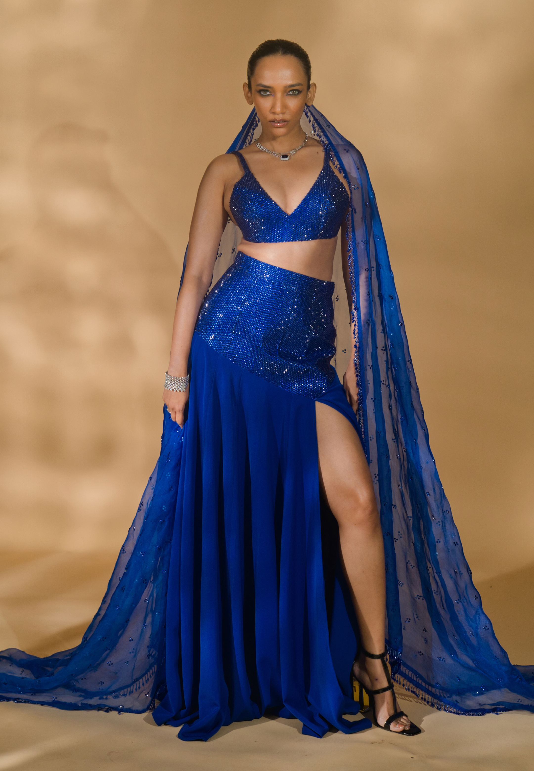 Rhinestone Encrusted Blouse with Lehenga and Organza Dupatta