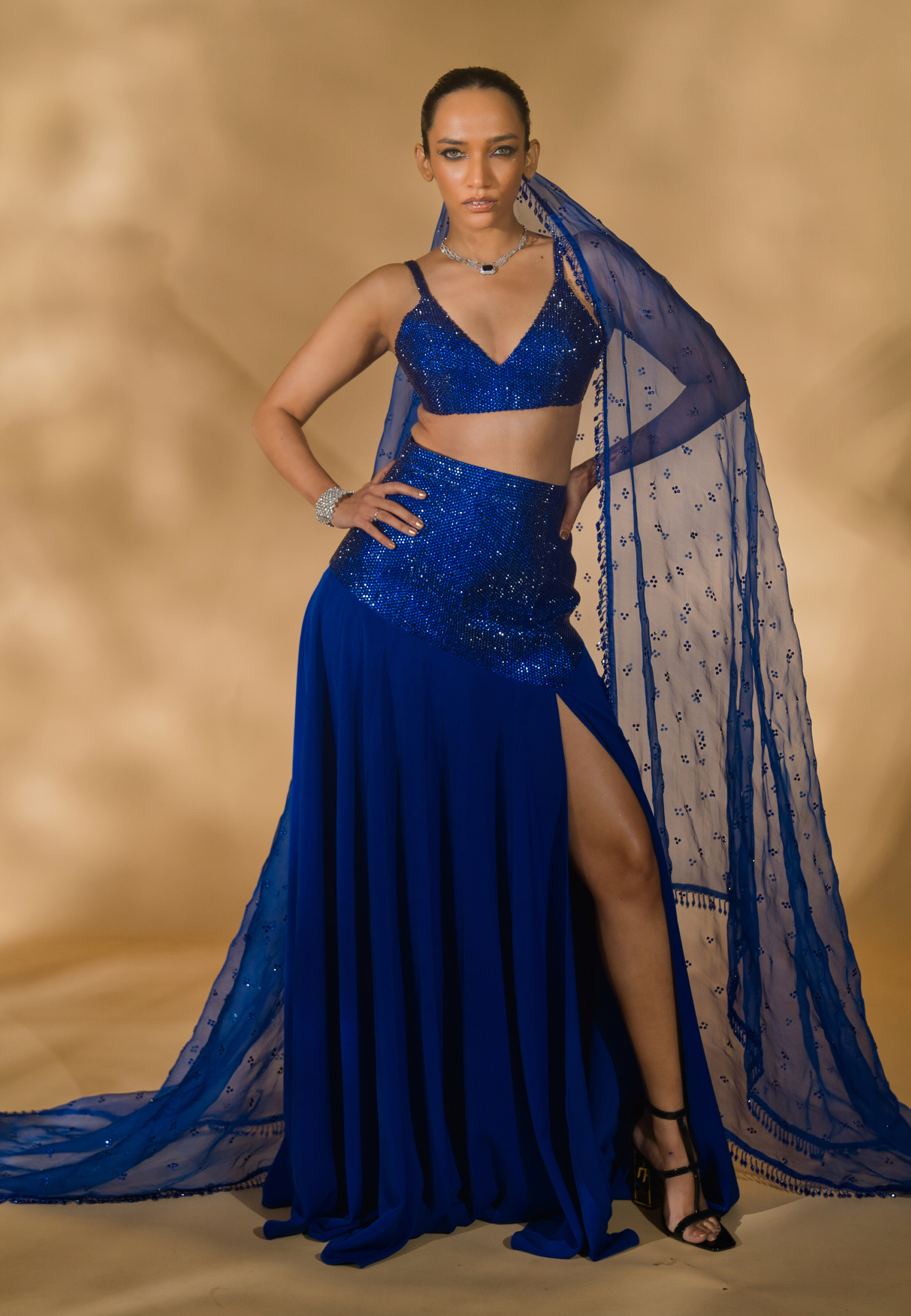 Rhinestone Encrusted Blouse with Lehenga and Organza Dupatta
