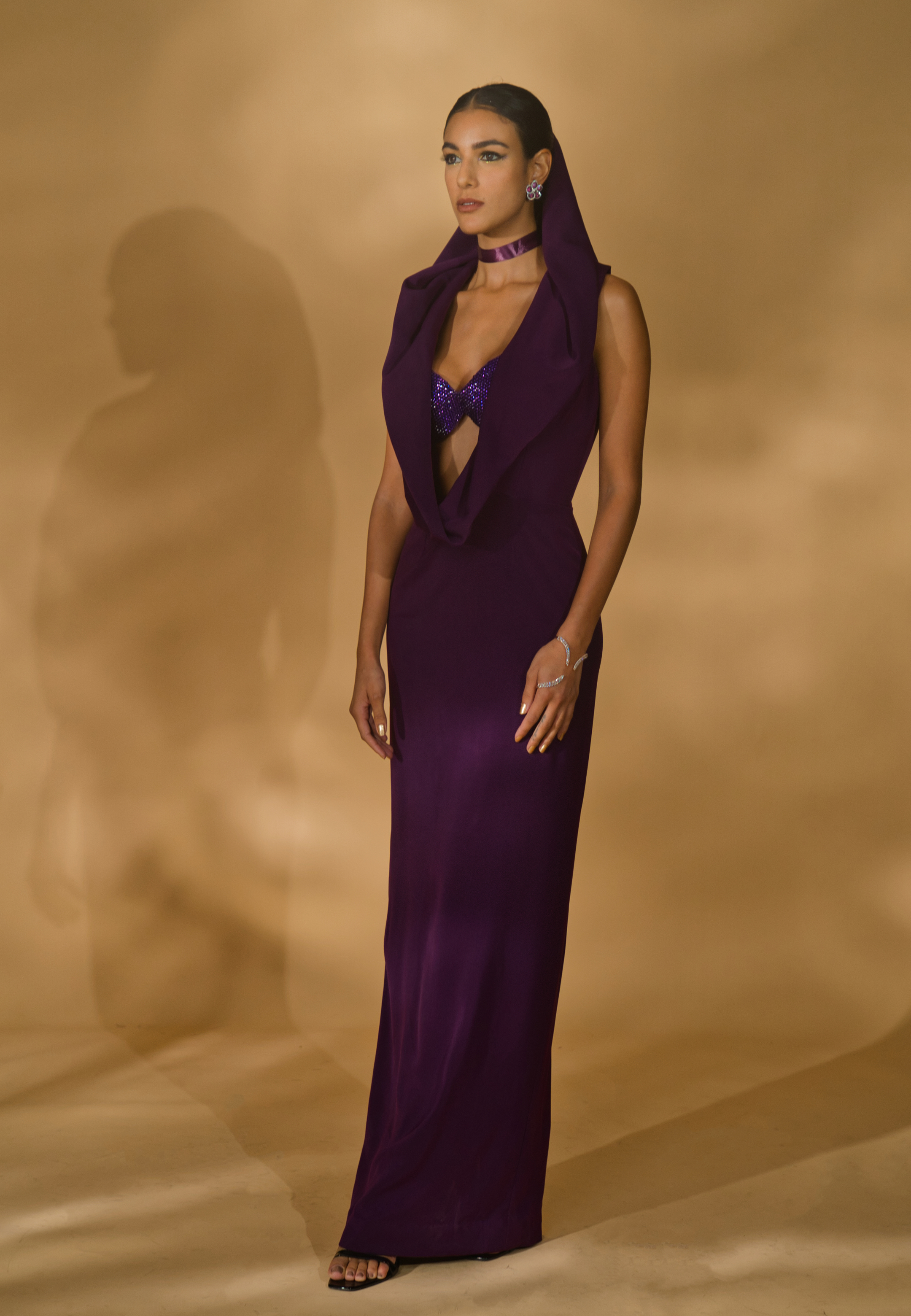 Rhinestone Encrusted Bralet with Cowled Neck Kurta/Gown